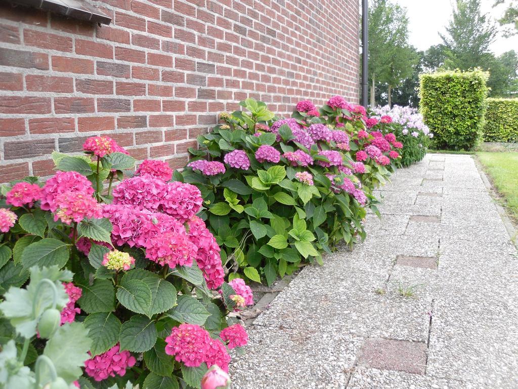 Nicolaashoeve Beemster Bed and Breakfast Noordbeemster Eksteriør billede